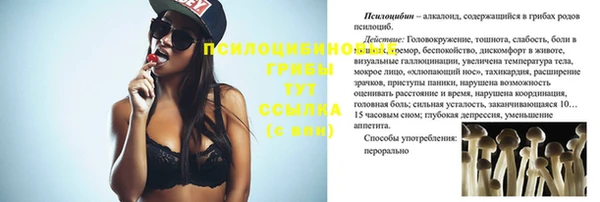 а пвп мука Алзамай