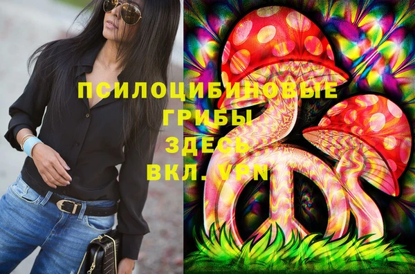 прущие грибы Алексин