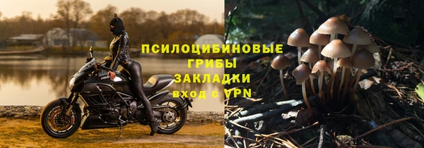 прущие грибы Алексин