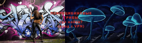 а пвп мука Алзамай